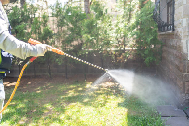 Best Fumigation Services  in Huntington Station, NY